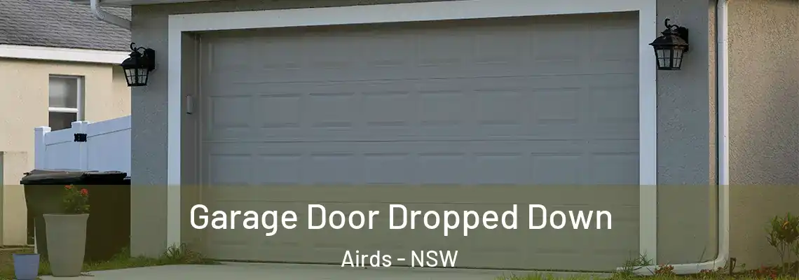  Garage Door Dropped Down Airds - NSW