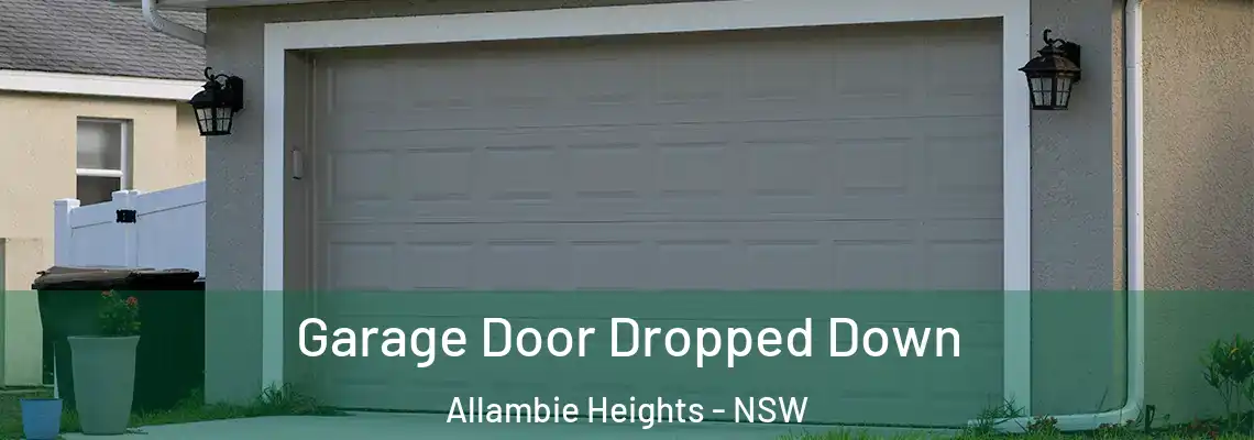  Garage Door Dropped Down Allambie Heights - NSW
