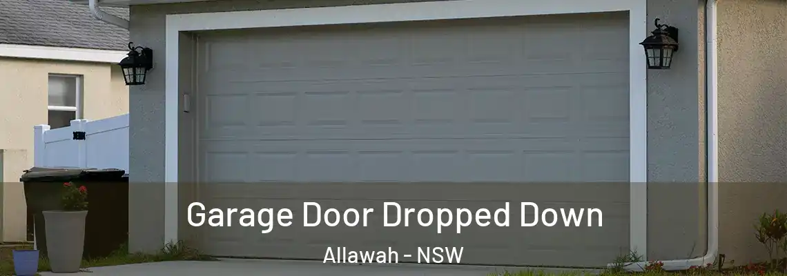  Garage Door Dropped Down Allawah - NSW