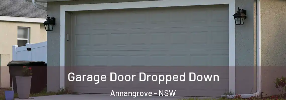 Garage Door Dropped Down Annangrove - NSW
