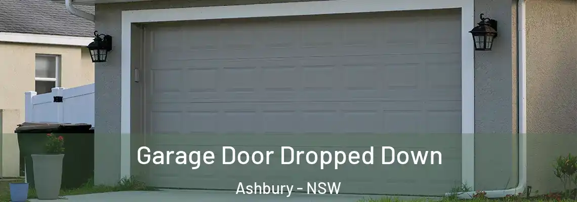  Garage Door Dropped Down Ashbury - NSW