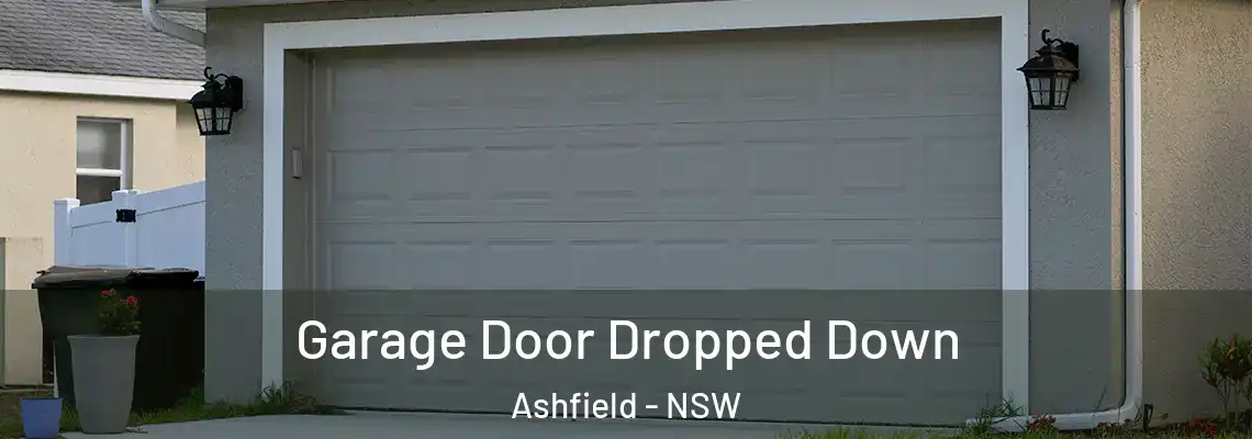  Garage Door Dropped Down Ashfield - NSW