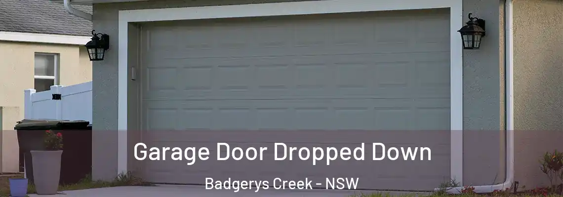  Garage Door Dropped Down Badgerys Creek - NSW