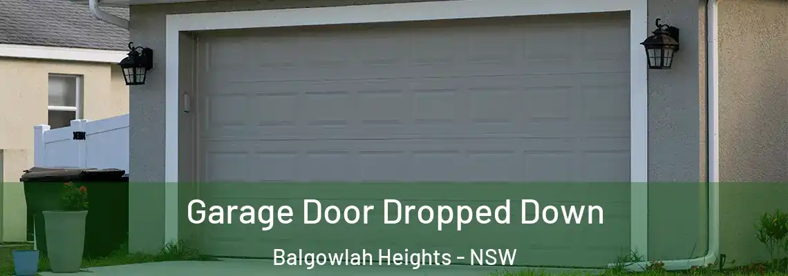  Garage Door Dropped Down Balgowlah Heights - NSW