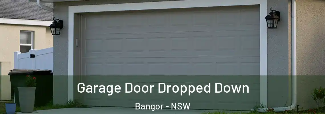  Garage Door Dropped Down Bangor - NSW