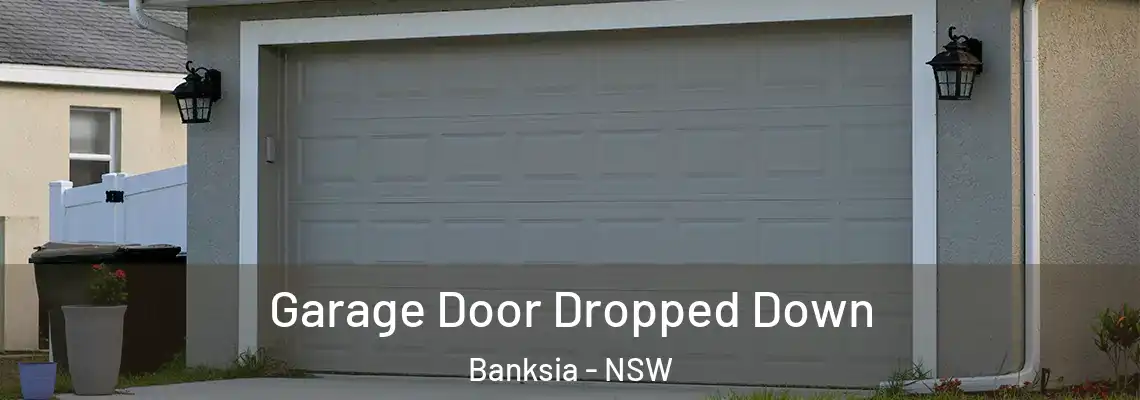  Garage Door Dropped Down Banksia - NSW