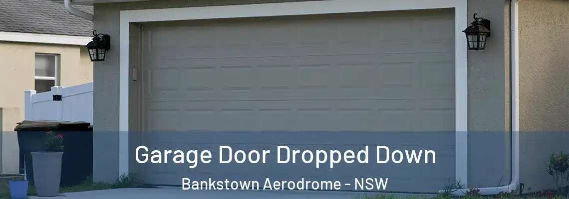  Garage Door Dropped Down Bankstown Aerodrome - NSW