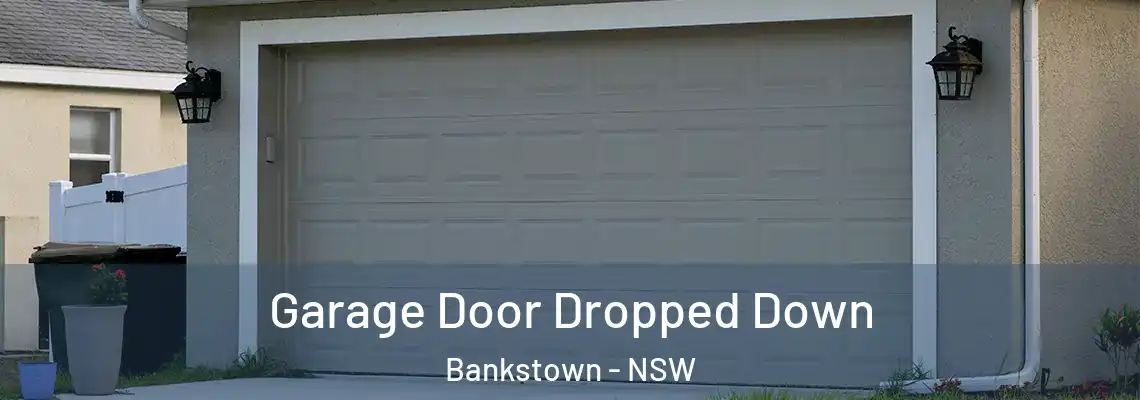  Garage Door Dropped Down Bankstown - NSW