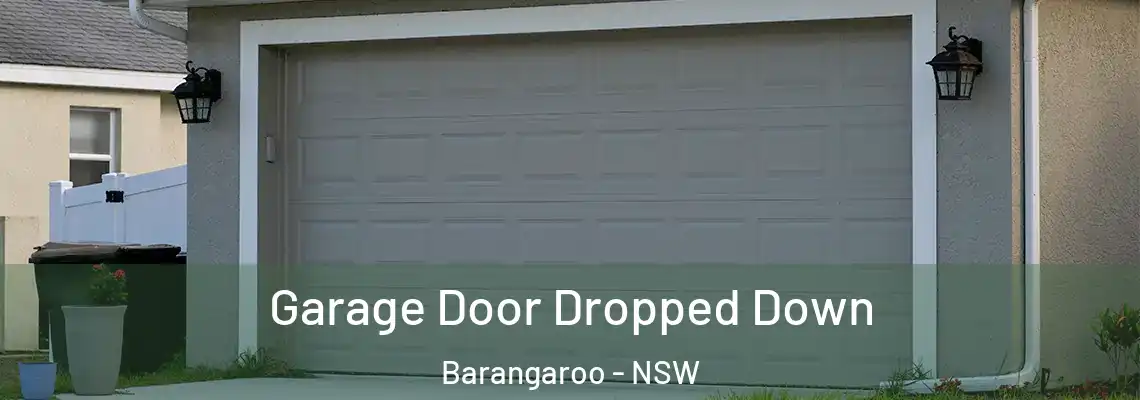  Garage Door Dropped Down Barangaroo - NSW