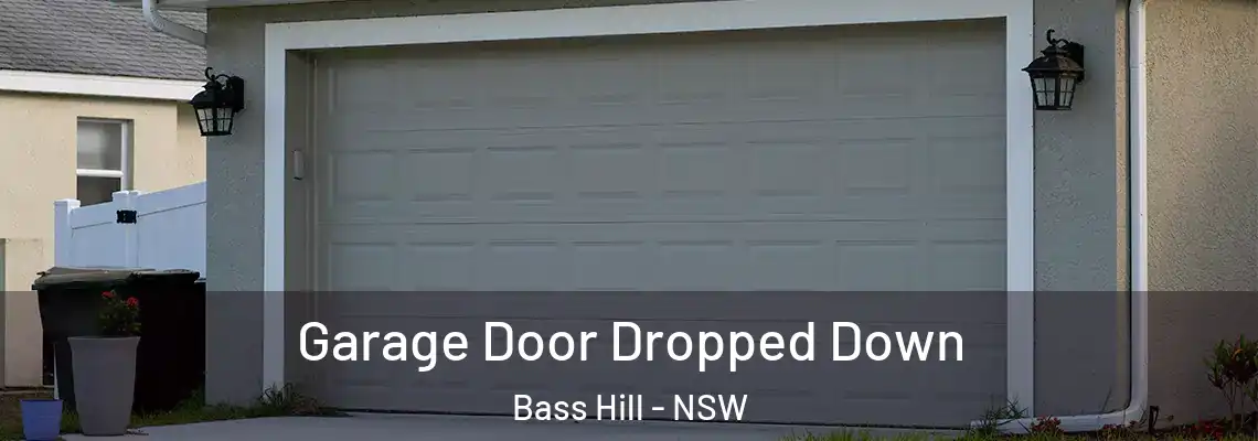  Garage Door Dropped Down Bass Hill - NSW