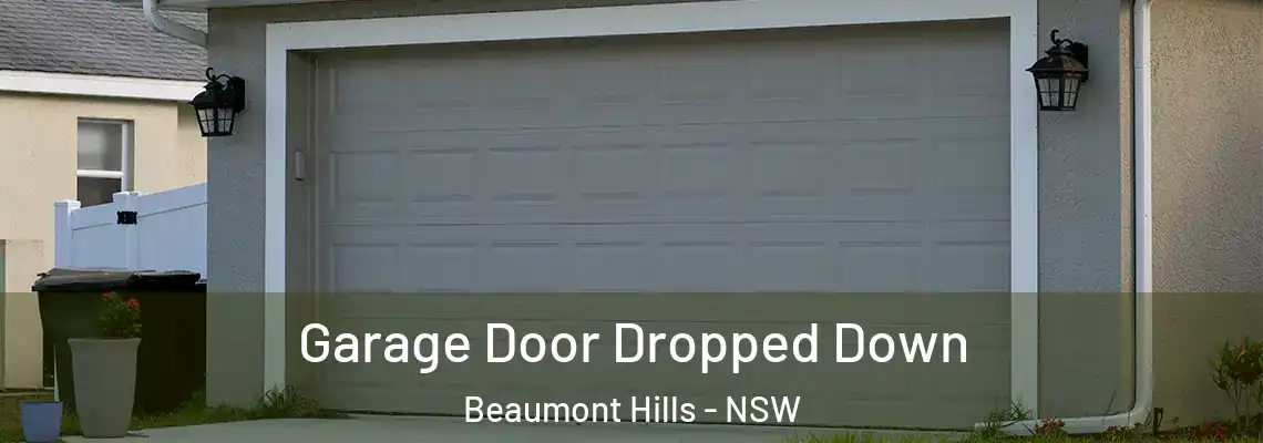  Garage Door Dropped Down Beaumont Hills - NSW