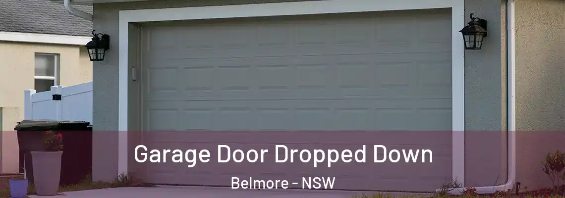  Garage Door Dropped Down Belmore - NSW