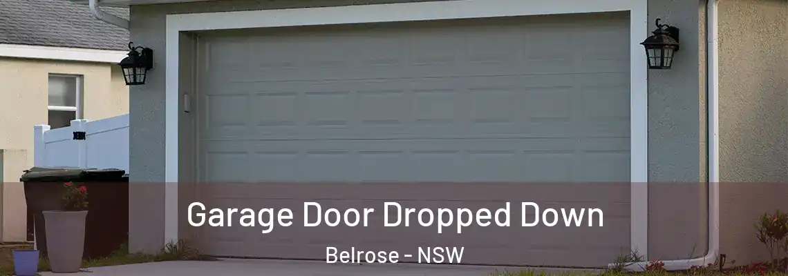  Garage Door Dropped Down Belrose - NSW
