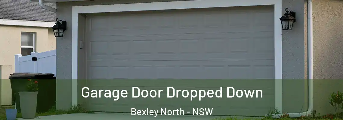  Garage Door Dropped Down Bexley North - NSW