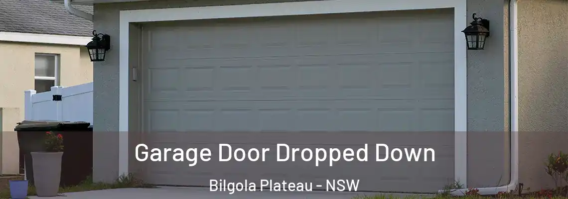  Garage Door Dropped Down Bilgola Plateau - NSW