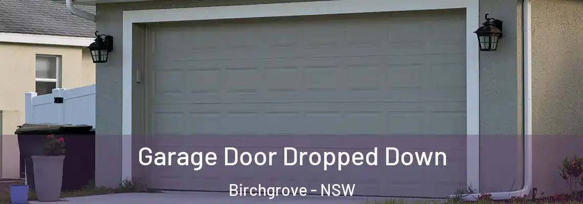  Garage Door Dropped Down Birchgrove - NSW