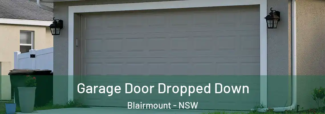  Garage Door Dropped Down Blairmount - NSW