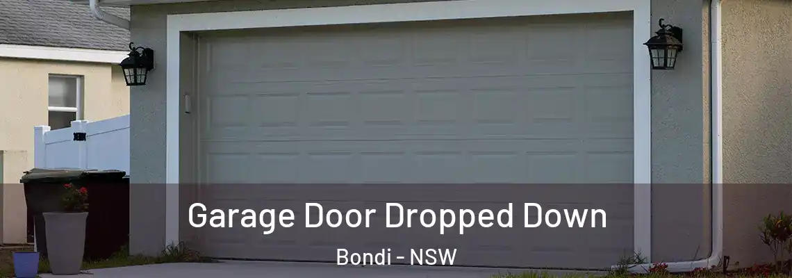  Garage Door Dropped Down Bondi - NSW