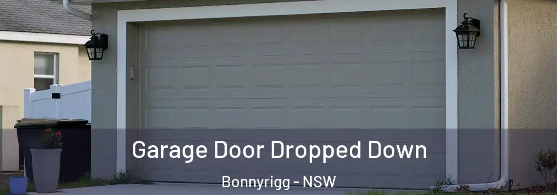  Garage Door Dropped Down Bonnyrigg - NSW