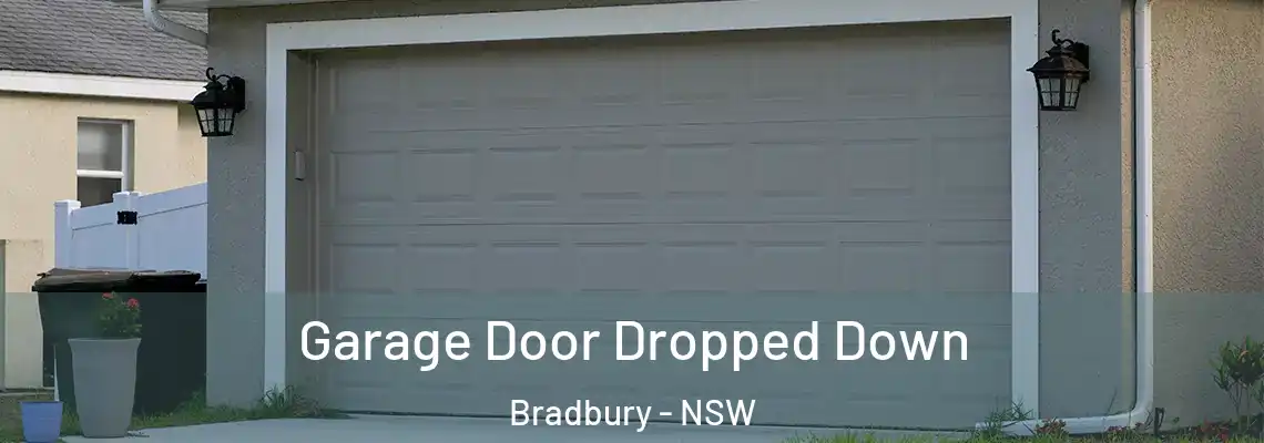 Garage Door Dropped Down Bradbury - NSW