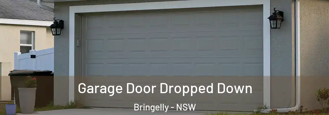  Garage Door Dropped Down Bringelly - NSW