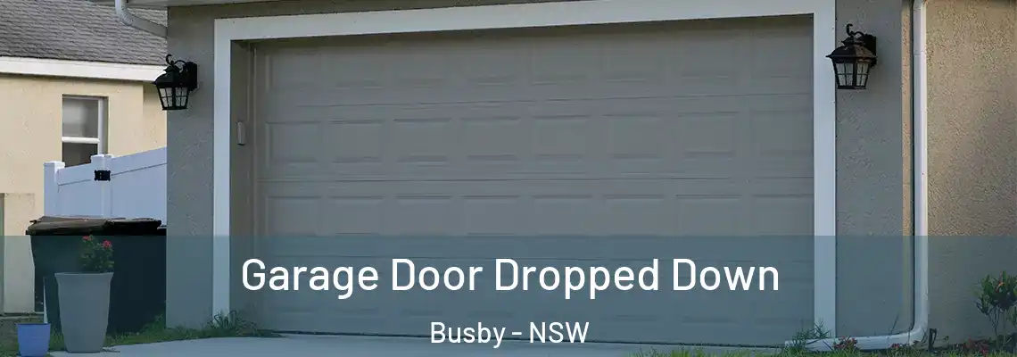  Garage Door Dropped Down Busby - NSW