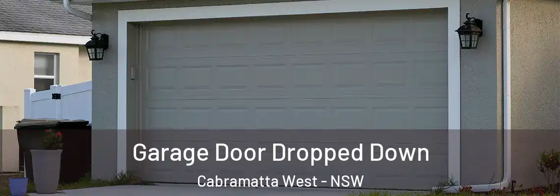  Garage Door Dropped Down Cabramatta West - NSW