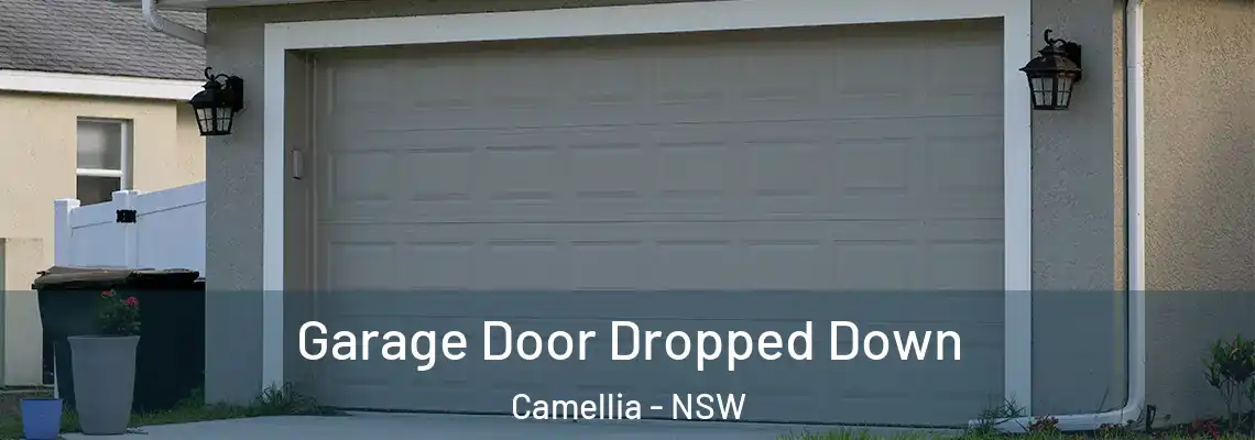  Garage Door Dropped Down Camellia - NSW
