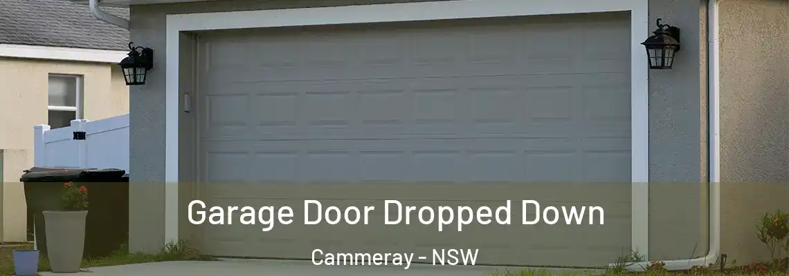  Garage Door Dropped Down Cammeray - NSW