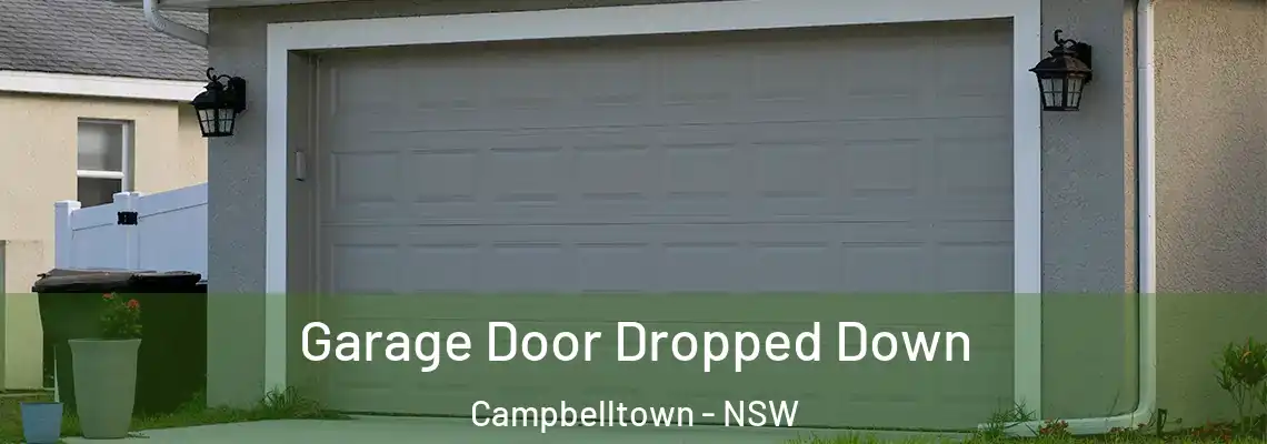  Garage Door Dropped Down Campbelltown - NSW