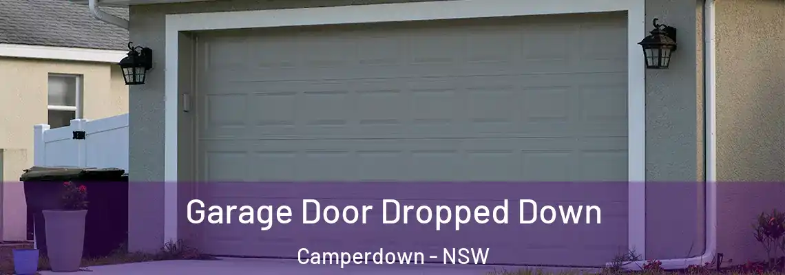  Garage Door Dropped Down Camperdown - NSW