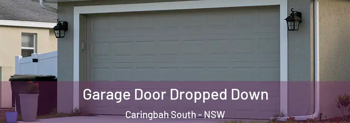 Garage Door Dropped Down Caringbah South - NSW