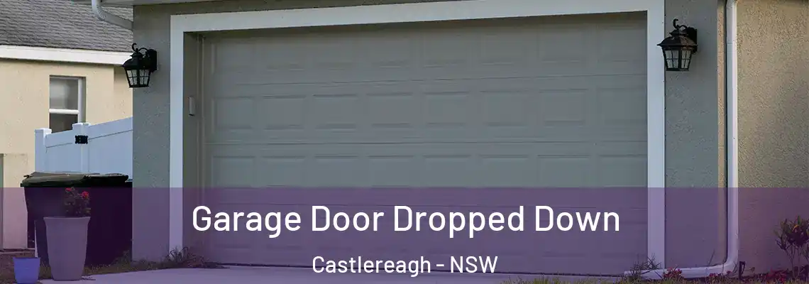  Garage Door Dropped Down Castlereagh - NSW