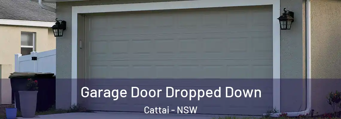  Garage Door Dropped Down Cattai - NSW