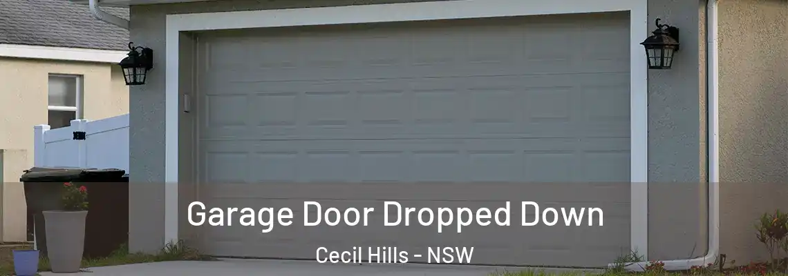  Garage Door Dropped Down Cecil Hills - NSW