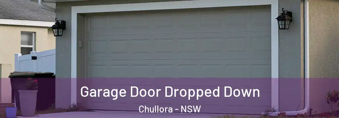  Garage Door Dropped Down Chullora - NSW