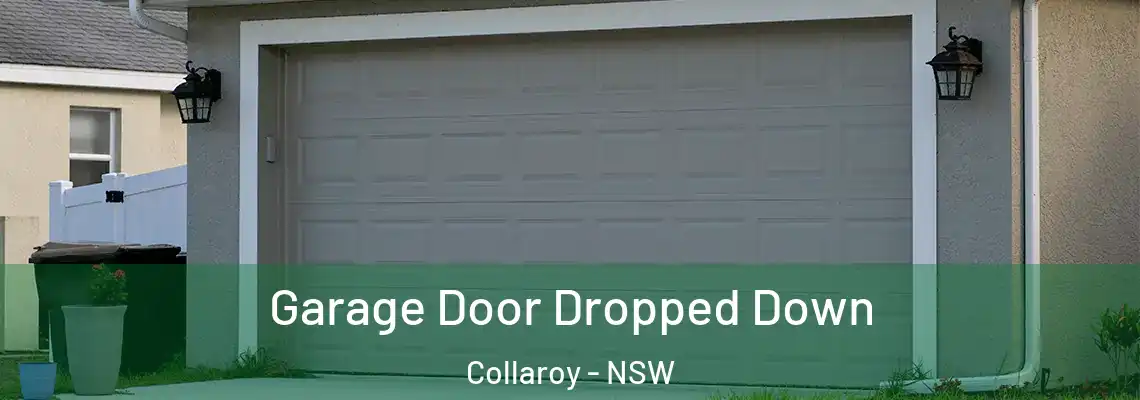  Garage Door Dropped Down Collaroy - NSW