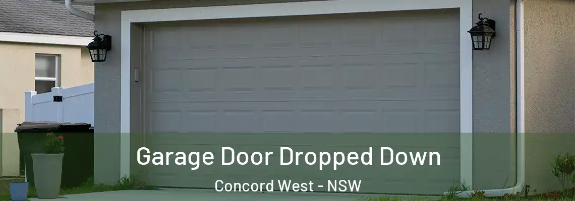  Garage Door Dropped Down Concord West - NSW