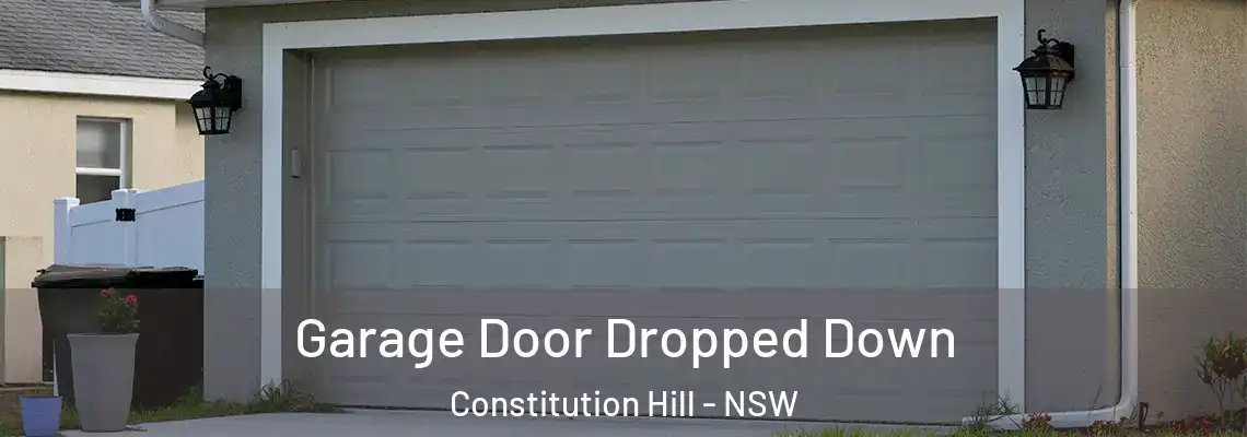  Garage Door Dropped Down Constitution Hill - NSW