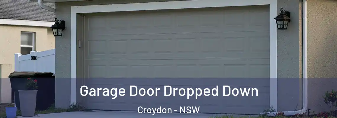 Garage Door Dropped Down Croydon - NSW