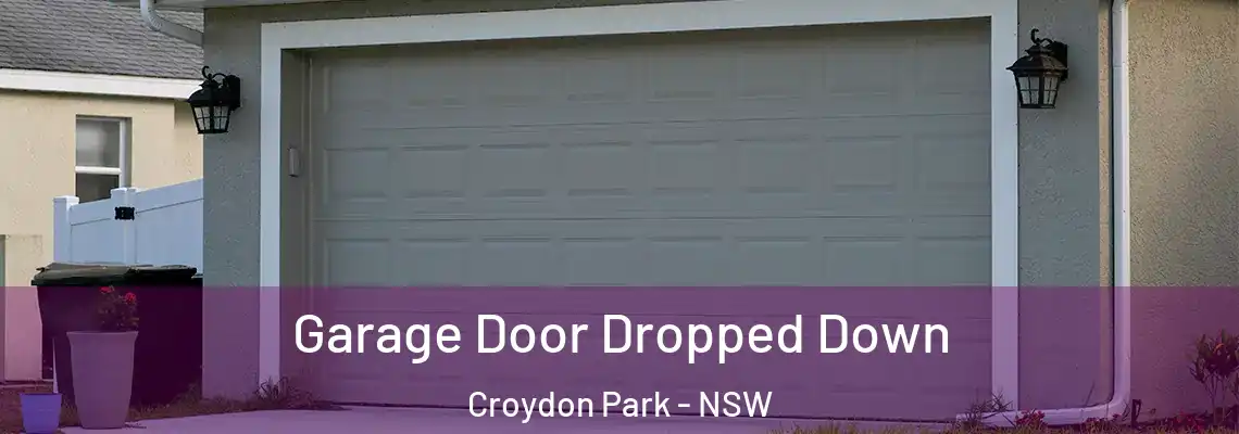  Garage Door Dropped Down Croydon Park - NSW