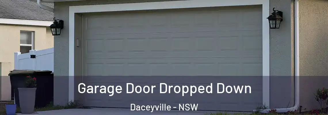  Garage Door Dropped Down Daceyville - NSW