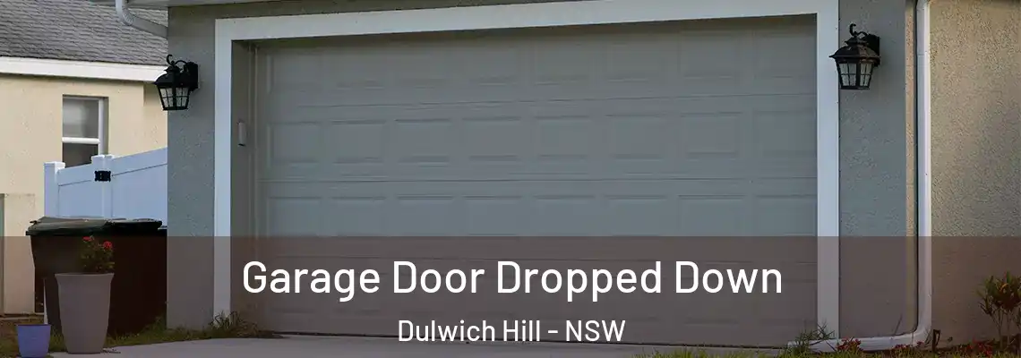 Garage Door Dropped Down Dulwich Hill - NSW