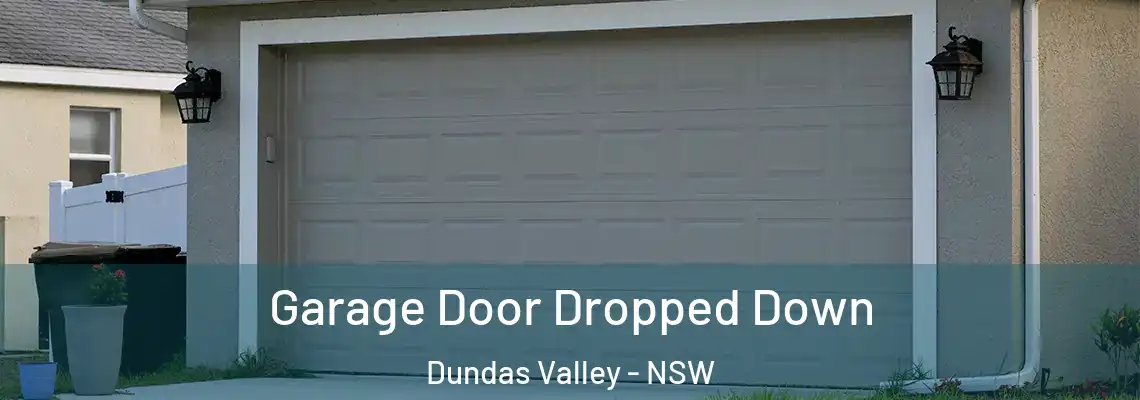  Garage Door Dropped Down Dundas Valley - NSW