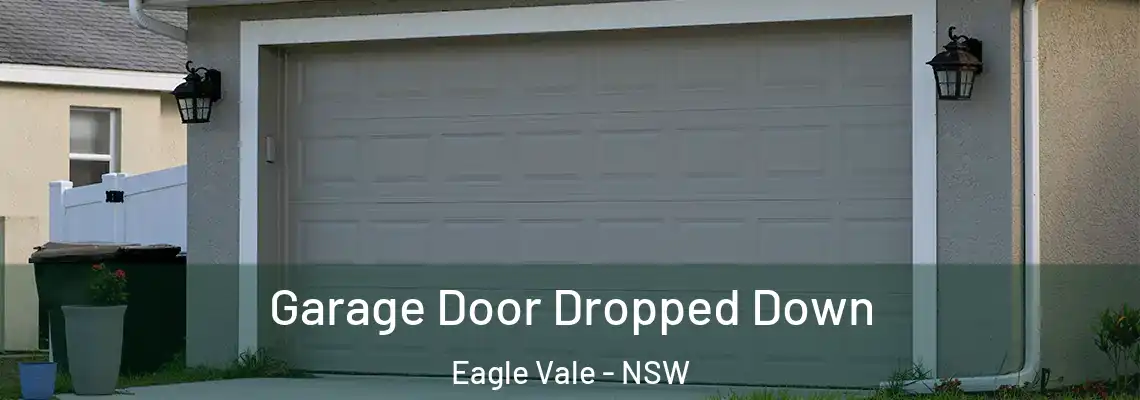  Garage Door Dropped Down Eagle Vale - NSW