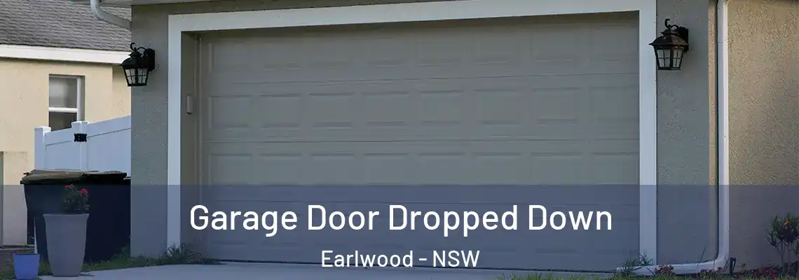  Garage Door Dropped Down Earlwood - NSW