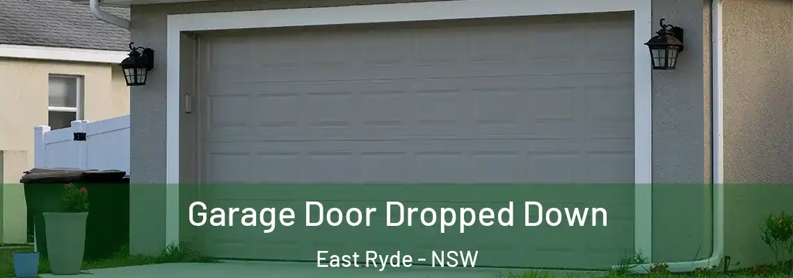  Garage Door Dropped Down East Ryde - NSW