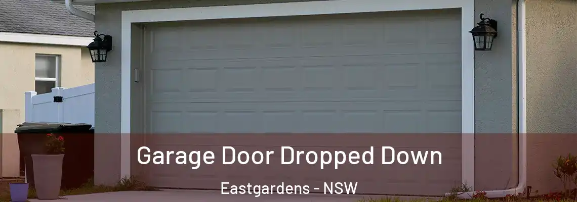  Garage Door Dropped Down Eastgardens - NSW