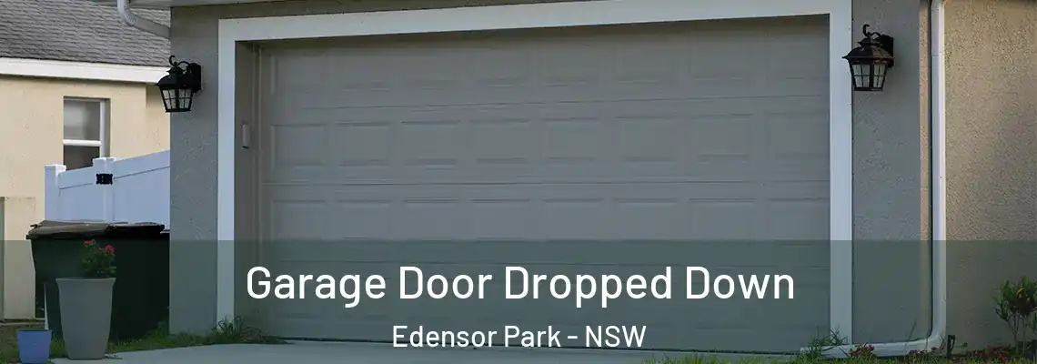  Garage Door Dropped Down Edensor Park - NSW