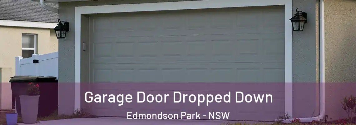  Garage Door Dropped Down Edmondson Park - NSW